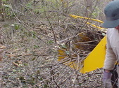 Enlarge photo 29