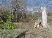 Enlarge photo 32