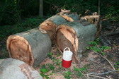 Enlarge photo 397