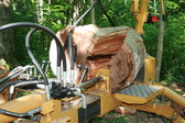 Enlarge photo 401