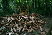 Enlarge photo 404