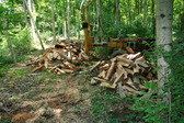 Enlarge photo 405