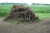 Enlarge photo 376