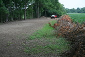 Enlarge photo 377