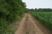 Enlarge photo 380