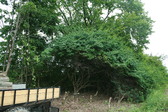 Enlarge photo 383