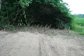 Enlarge photo 384