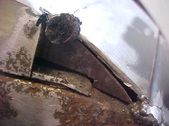 Enlarge photo 375