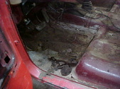 Enlarge photo 62