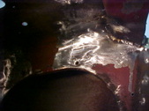Enlarge photo 268