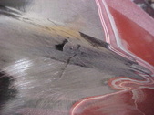 Enlarge photo 343