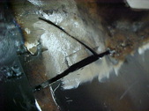 Enlarge photo 277
