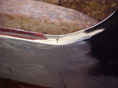 Enlarge photo 346