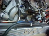 Enlarge photo 484