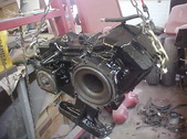 Enlarge photo 458