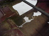 Enlarge photo 113