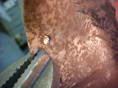 Enlarge photo 147