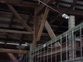 Enlarge photo 19
