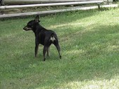 Enlarge photo 4