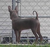Enlarge photo 16
