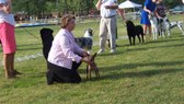Enlarge photo 6