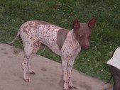 Enlarge photo 7