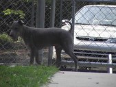 Enlarge photo 9