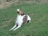 Enlarge photo 3