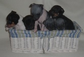 Enlarge photo 3