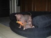 Enlarge photo 14
