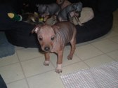 Enlarge photo 13