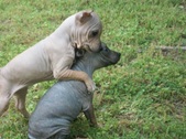 Enlarge photo 24