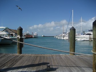 Enlarge photo 54