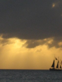 Enlarge photo 59