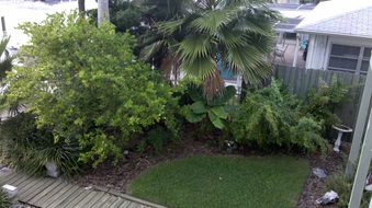 Enlarge photo 4
