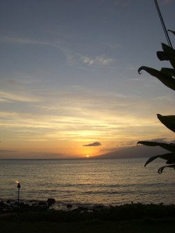 Enlarge photo 117