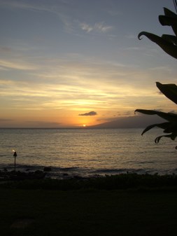 Enlarge photo 118