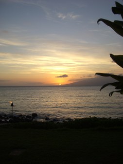 Enlarge photo 119