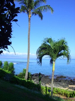 Enlarge photo 120