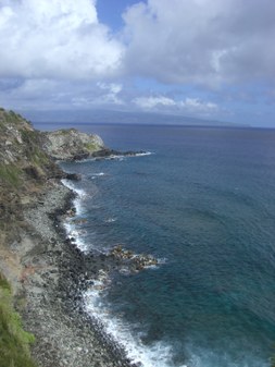 Enlarge photo 124