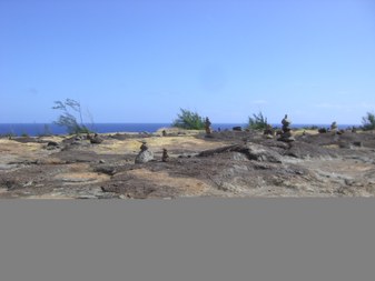 Enlarge photo 195