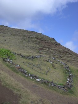 Enlarge photo 126
