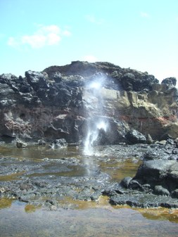 Enlarge photo 127