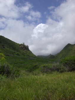 Enlarge photo 131