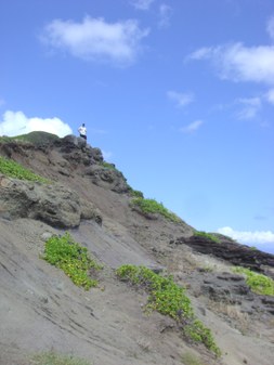 Enlarge photo 135