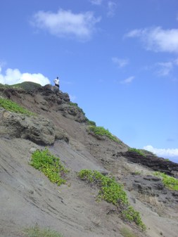 Enlarge photo 11