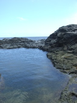 Enlarge photo 136