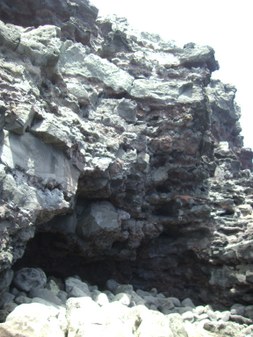 Enlarge photo 170
