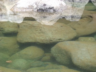 Enlarge photo 17