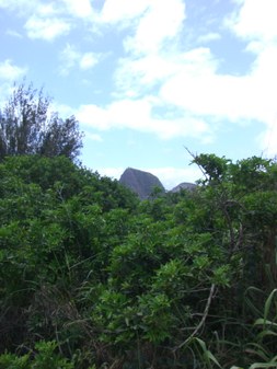 Enlarge photo 171